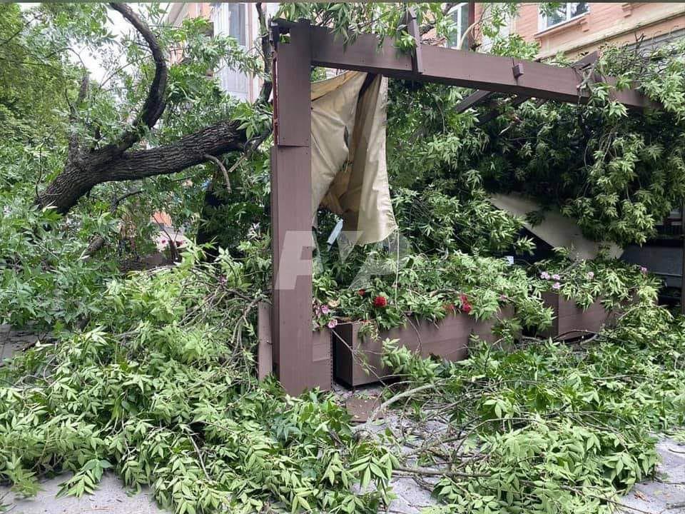 У Полтаві на літній майданчик кафе впало дерево. ФОТО, ВІДЕО