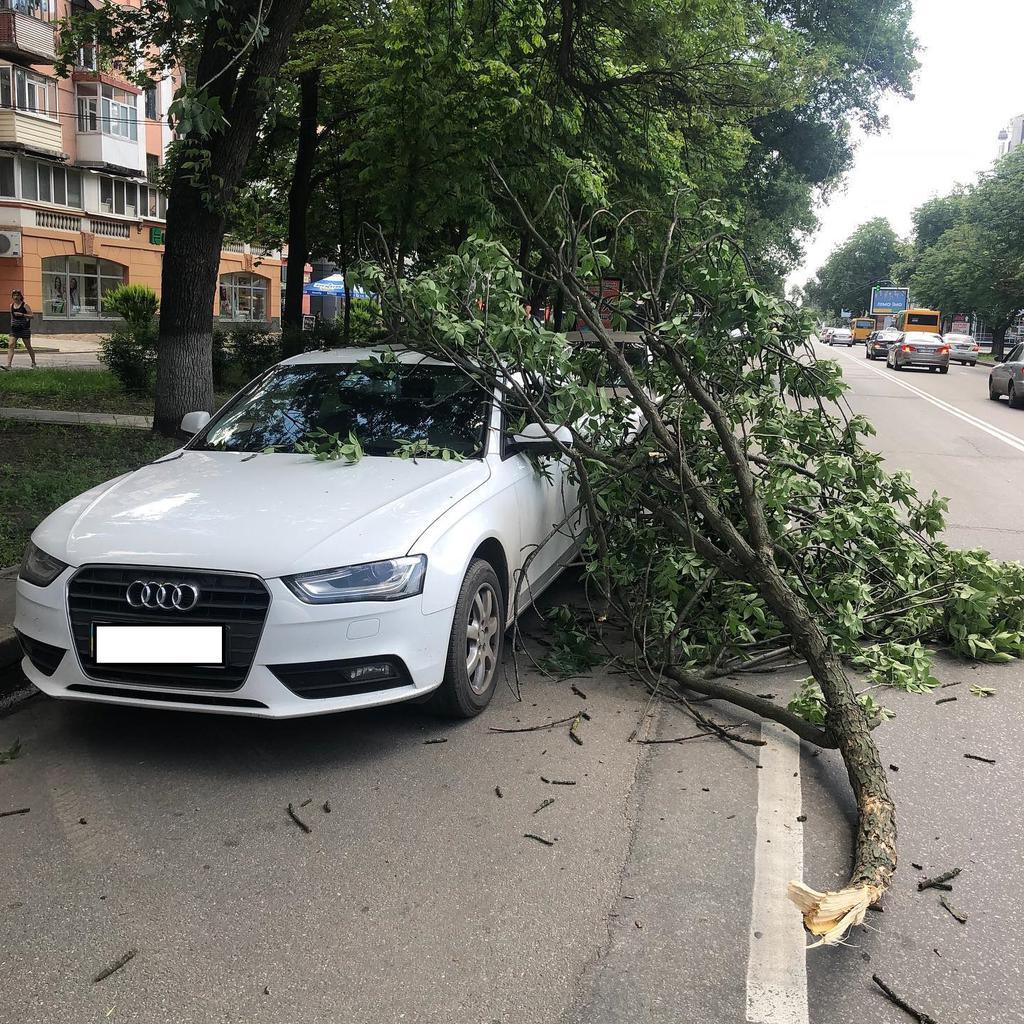 У центрі Полтави гілка впала на автівку з водійкою всередині. ФОТОФАКТ