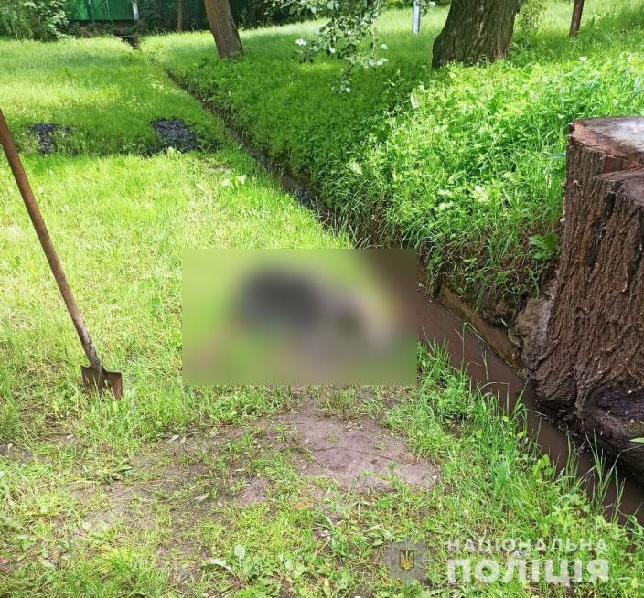 У Полтаві у зливовій каналізації знайшли останки чоловіка