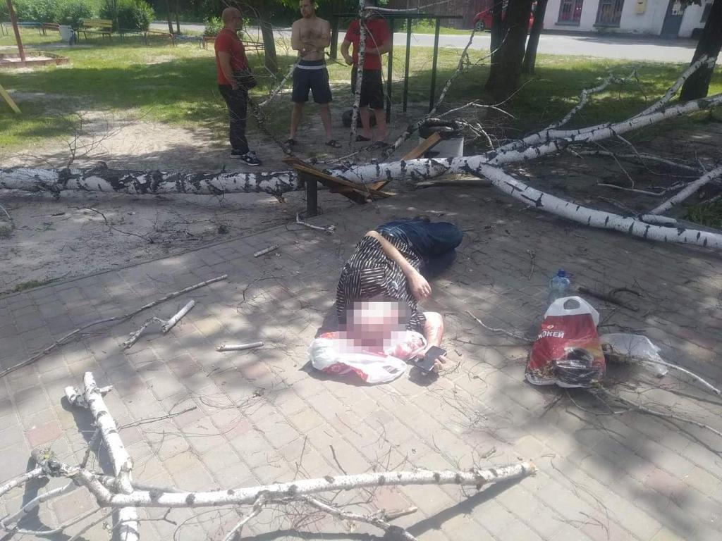 У Полтаві на чоловіка впали сухі гілки: постраждалого госпіталізували