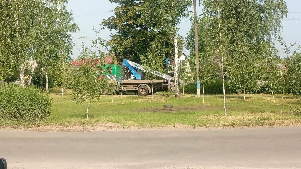 У Полтаві нарешті спиляли аварійні дерева, гілки з яких впали на чоловіка