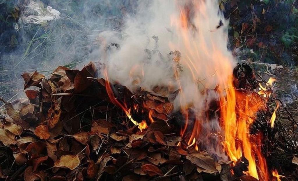 На Полтавщині чоловік впав у багаття, коли спалював сміття