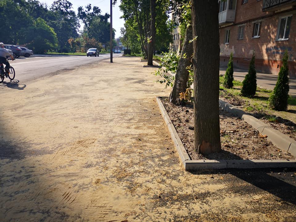 Заасфальтовані дерева в Полтаві: що не так і як має бути, аби насадження не загинули: експерти. ФОТО