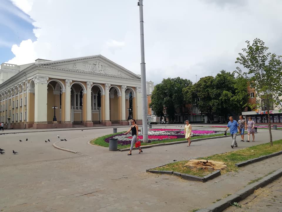 У центрі Полтави спиляли дерева, ще два – кандидати на видалення. ФОТО