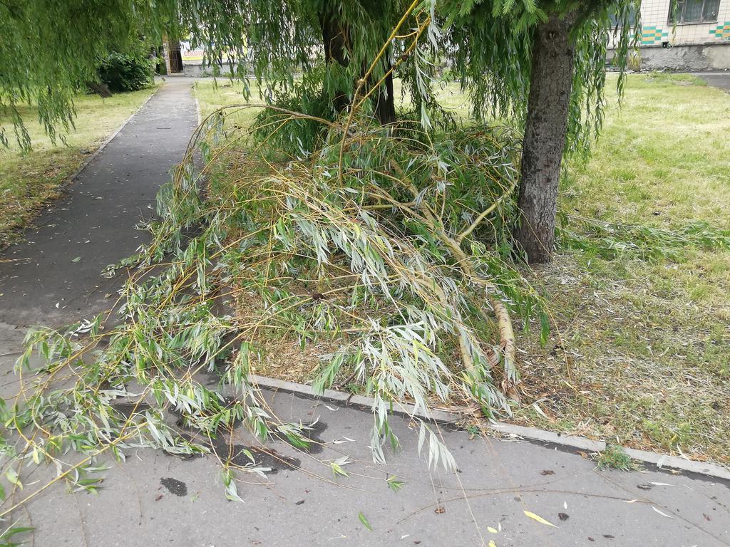 У Полтаві у зливу відчахнулась гілка та ледь не поцілила в дівчину. ФОТО