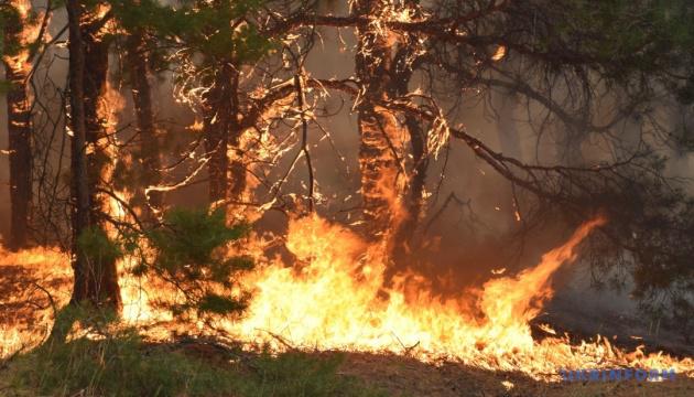 Найближчі дні на Полтавщині буде надзвичайний рівень пожежної небезпеки