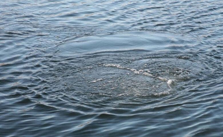 На Полтавщині зникла жінка: її тіло виявили в місцевому ставку