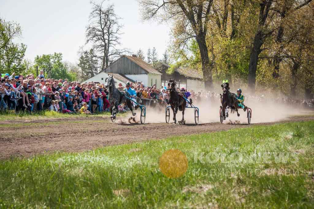 Кінний завод із Полтавщини може припинити виступи на київському іподромі через брак коштів