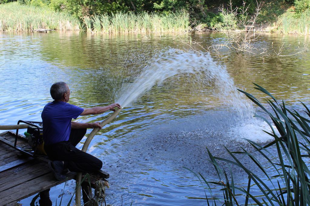 На Полтавщині через нестачу кисню задихається риба: як рятують в одній з громад. ВІДЕО