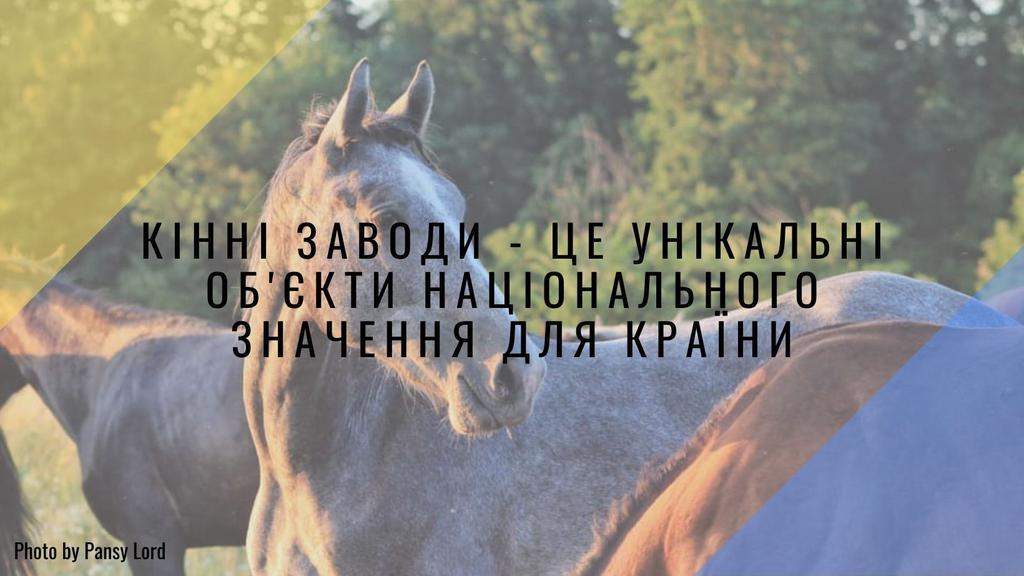Під міністерством аграрної політики відбудеться акція на підтримку кінного заводу з Полтавщини