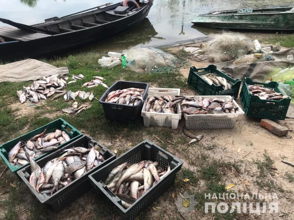 Браконьєри на Полтавщині порибалили на понад 350 тисяч гривень