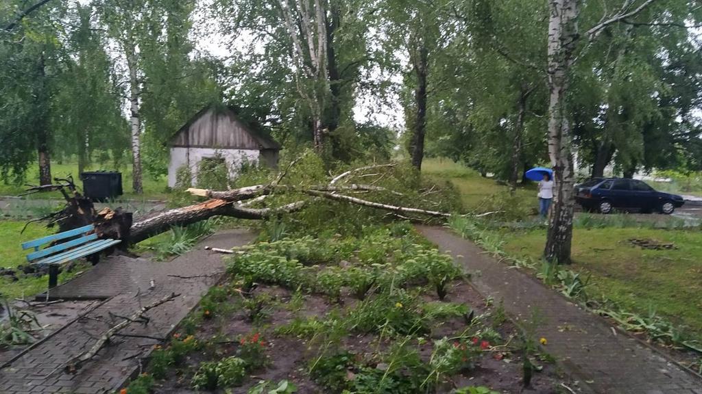 На Полтавщині вирує негода: вітер зірвав дахи та поламав дерева. ФОТО. ВІДЕО. ОНОВЛЕНО