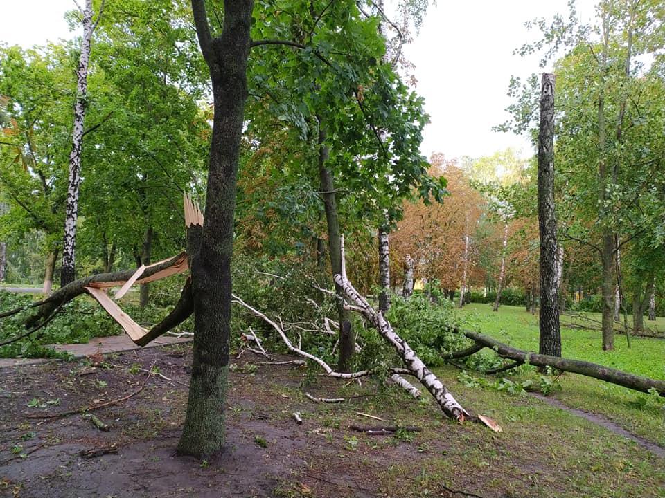 Наслідки стихії на Полтавщині: без світла, даху над головою та зі зламаними деревами. ФОТО. ВІДЕО
