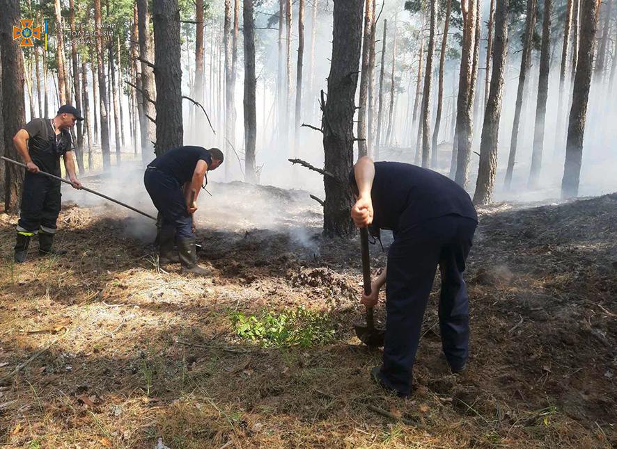 На острові у Полтавській області загорівся ліс: рятували масив 600 гектарів