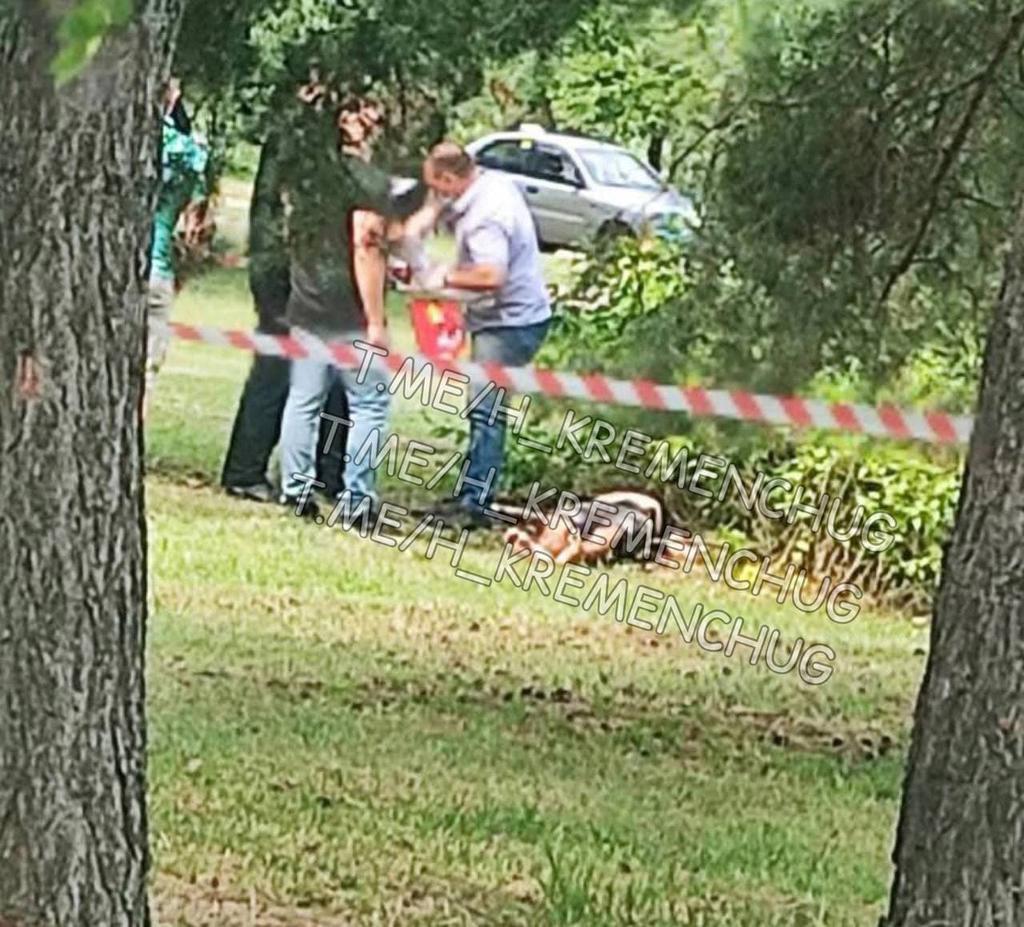 Поліція затримала третього фігуранта смертельного побиття чоловіка у Горішніх Плавнях