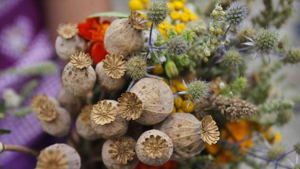 Маковія: історія й традиції свята