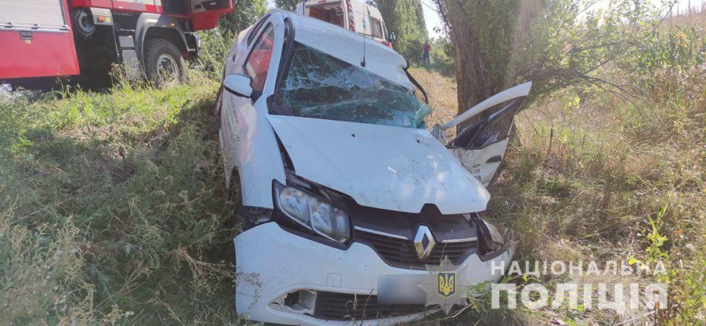На Полтавщині водій не розминувся з деревом