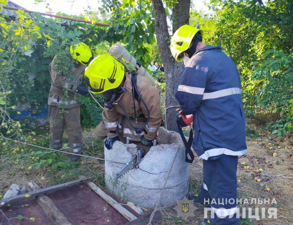 Вбив і кинув у колодязь: на Полтавщині чоловік вбив матір