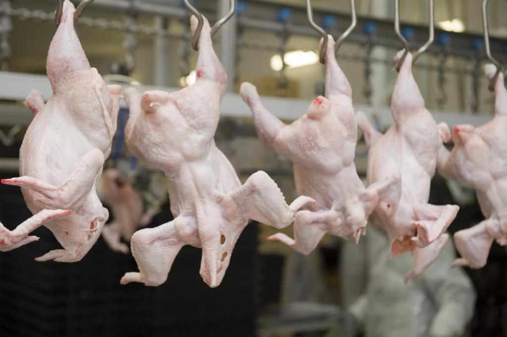 Україна з початку року збільшила експорт м'яса птиці на 45%