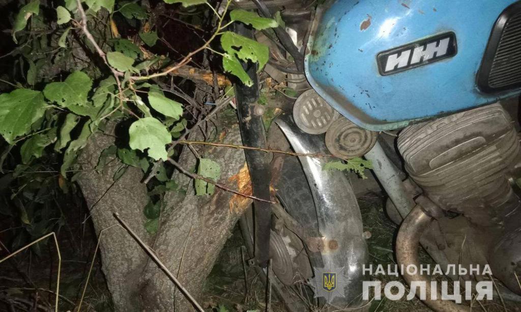 На Полтавщині мопедист врізався в дерево