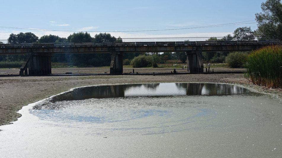 На Полтавщині пересохла річка: на розчищення русла треба 12 мільйонів