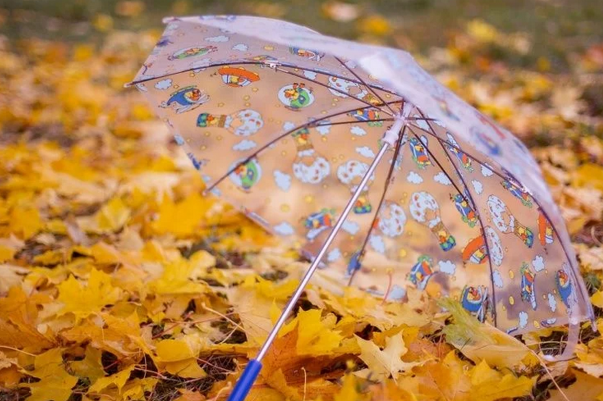 Дощі триватимуть: чи буде ще тепла погода на Полтавщині