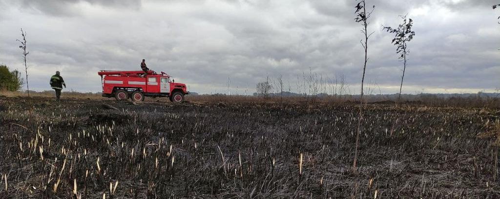 На Полтавщині понад тиждень горить торф: до сіл два кілометри