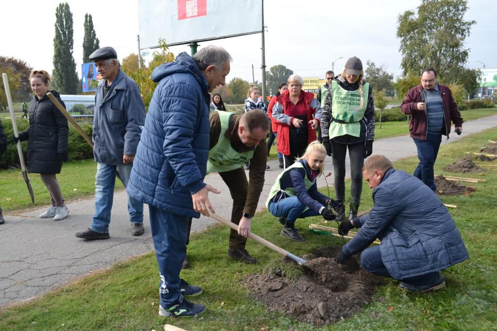 Новий ліс на Полтавщині: скільки і де посадили дерев