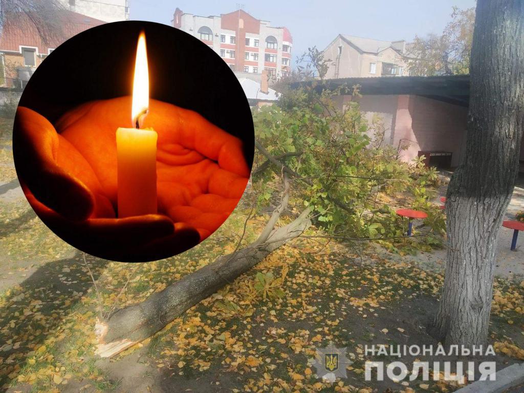 На Полтавщині померла дитина, на яку впало дерево у дитсадку