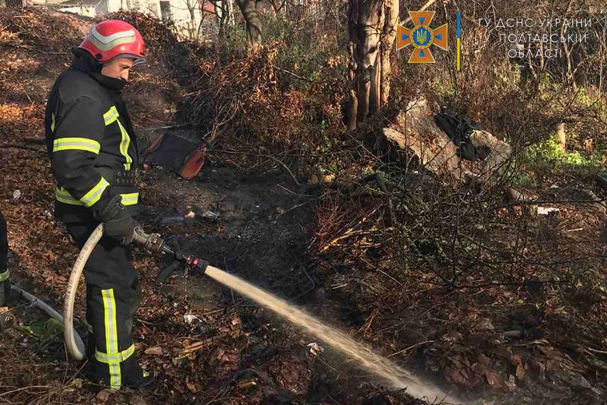 У Полтаві за добу сталися два займання сухостою