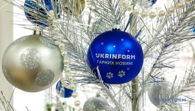 На конкурсі «Міс Ялинка-2021» обирають найкращу зелену красуню країни