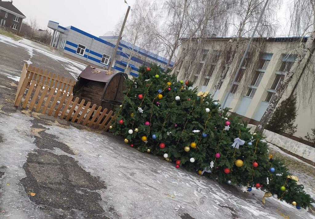 Шторм на Полтавщині та в інших областях поваляв ялинки. ФОТО