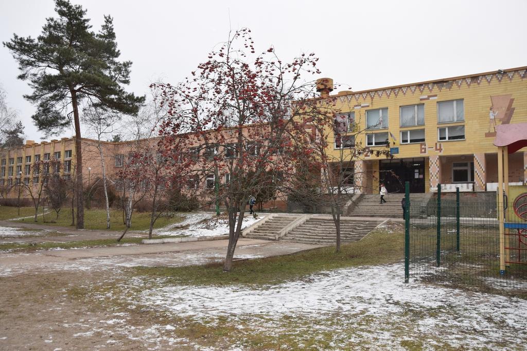 Забути про газ: громада на Полтавщині планує перевести школи на опалення тріскою