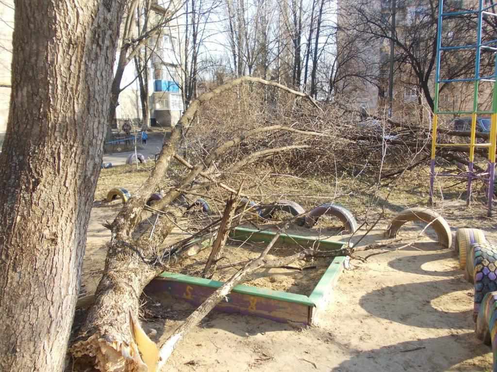 У Полтаві вітер повалив дерева прямо на дитячий майданчик