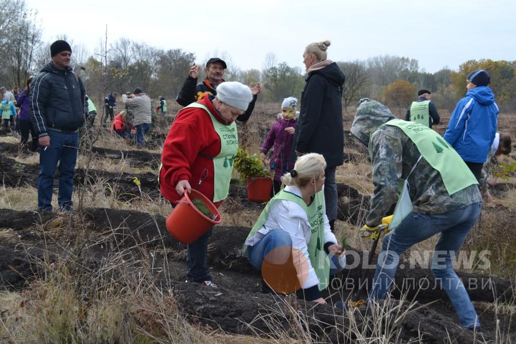 На Полтавщині висадять понад 7 мільйонів нових дерев