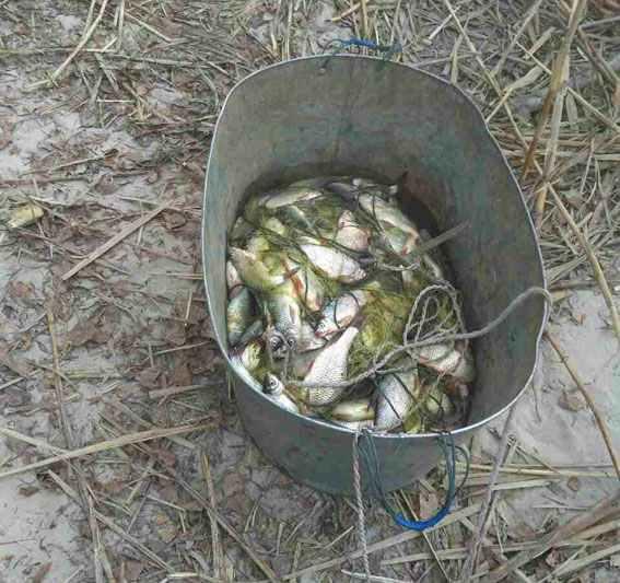 Чоловік наловив на Кременчуцькому водосховищі риби на одинадцять тисяч