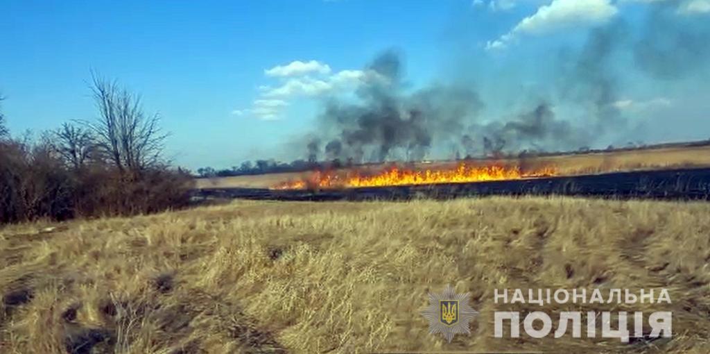 Полтавці продовжують порушувати закон і палять сухостій