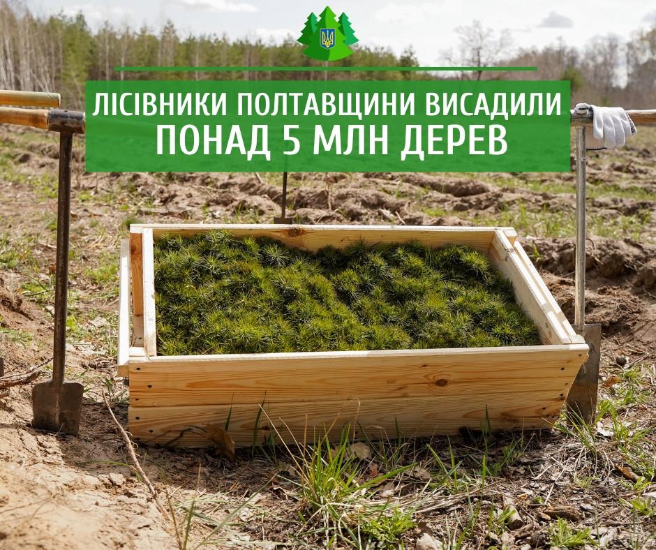 Понад п’ять мільйонів дерев висадили лісівники Полтавщини навесні