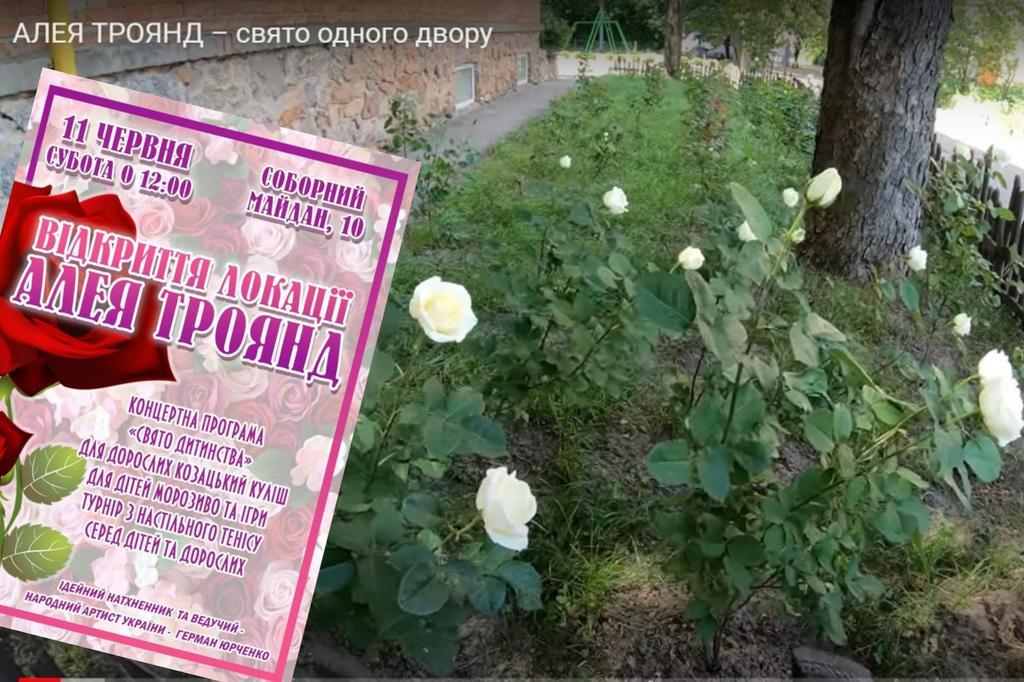 Як полтавці роблять свій двір зразковим – без політики, своїми руками