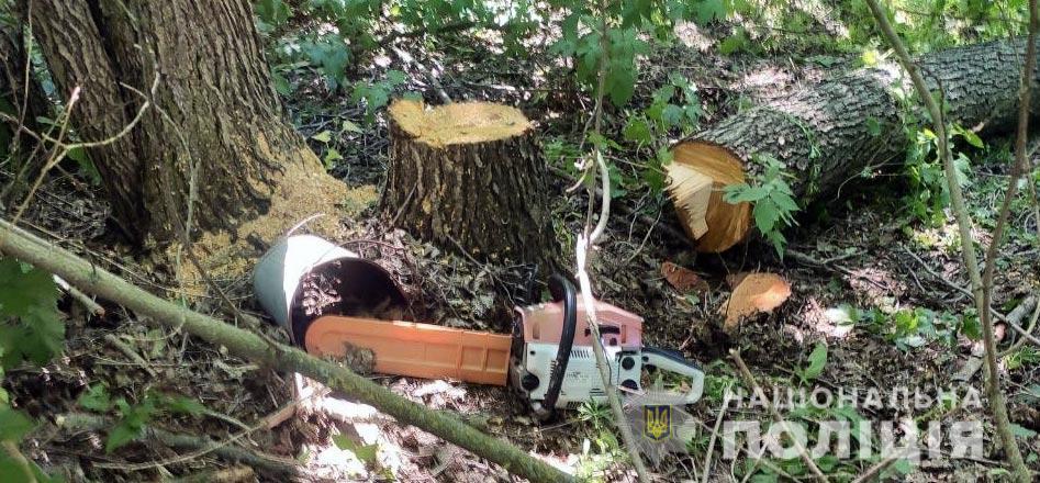 На Полтавщині крали деревину: знайшли підозрюваного у злочині
