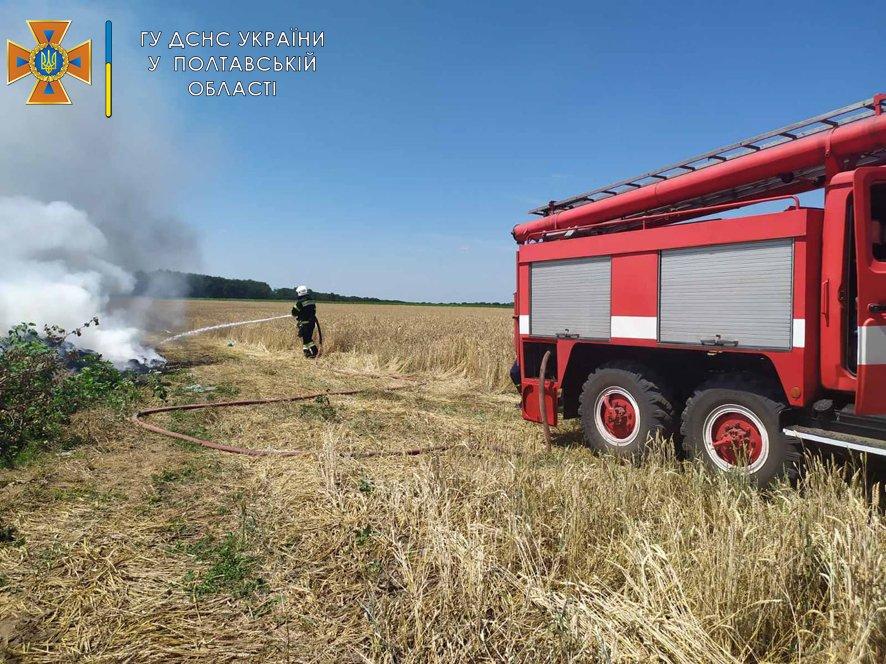 Яке покарання чекає на паліїв трави