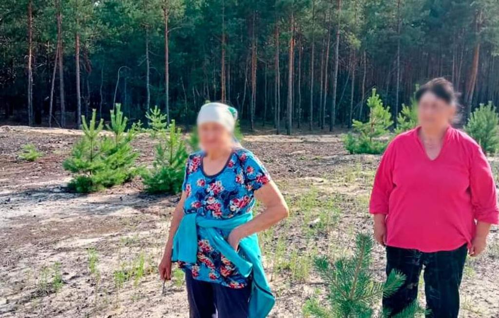 Збирали гриби й заблукали в лісі: випадок на Полтавщині 