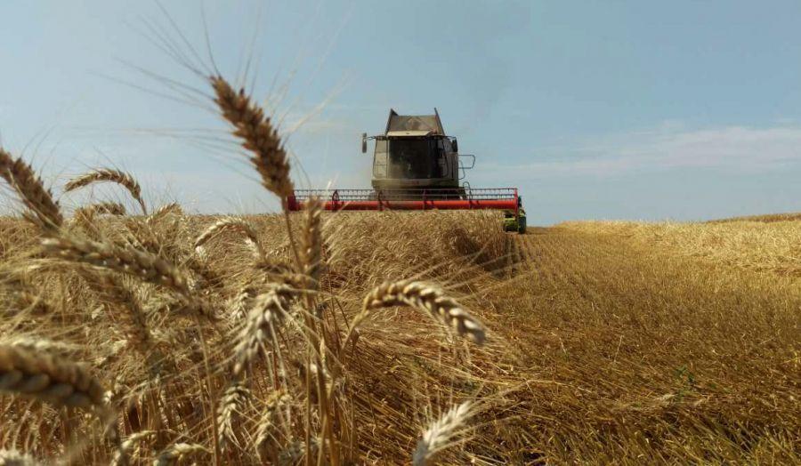 На Полтавщині майже намолотили перший мільйон тонн зерна