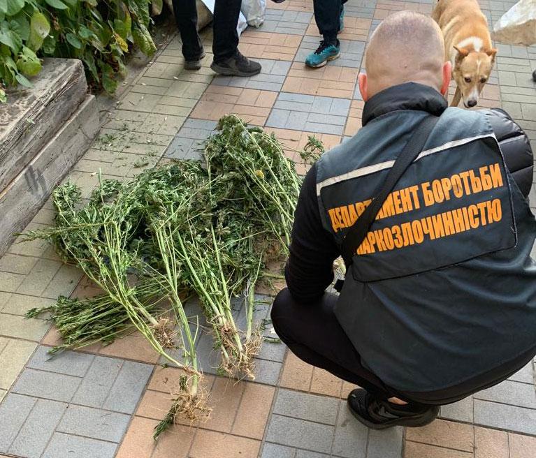 Наркобізнес на Полтавщині: чоловік вирощував та збував коноплі. ФОТО