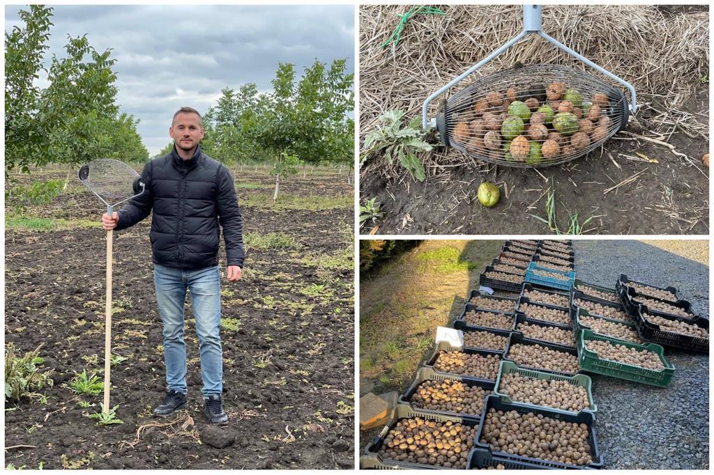 Як заробляти на горіхах у 2022 році: компанія з Полтави збирає мільйонні перегляди та розвиває бізнес у війну. ВІДЕО 