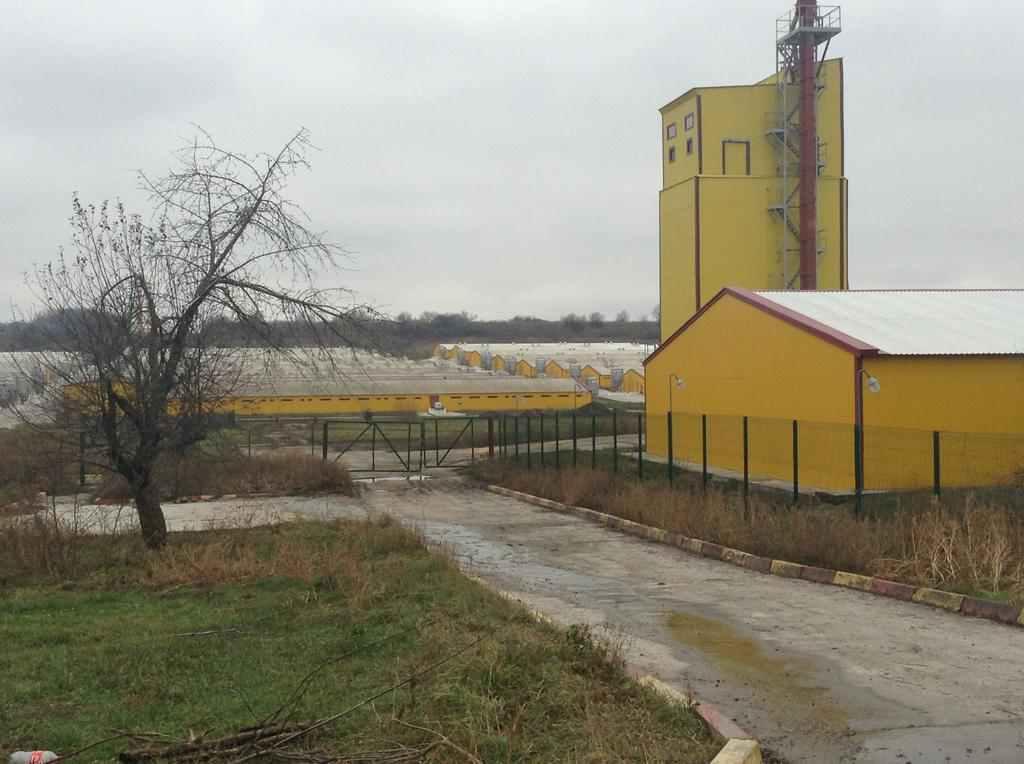 Керівника ТОВ «Сільські традиції» звинувачують у забрудненні земель та службовому недбальстві