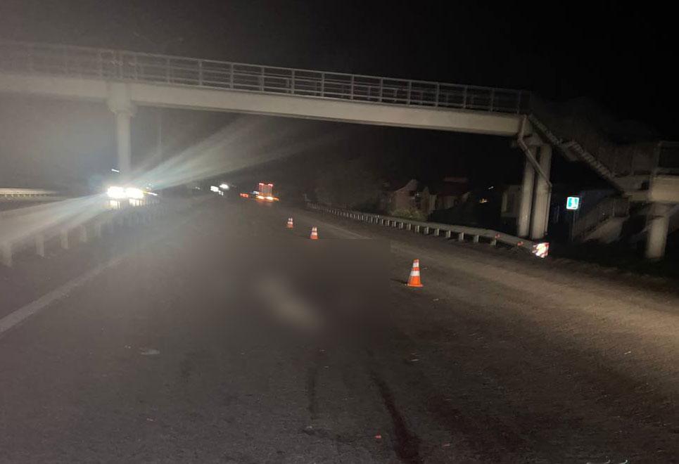 На Полтавщині жінка-пішохід загинула під колесами мікроавтобуса