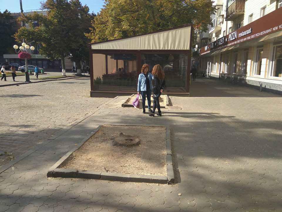 У Полтаві перед театром імені Гоголя спиляли дерева. ФОТОФАКТ