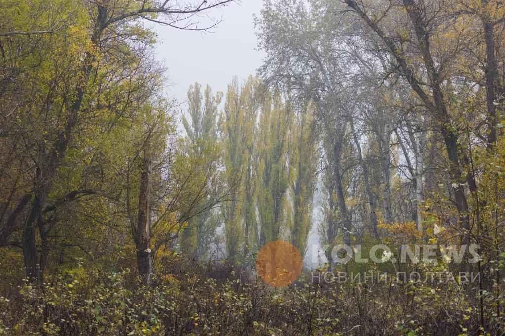 8 жовтня: яке сьогодні свято, традиції та заборони