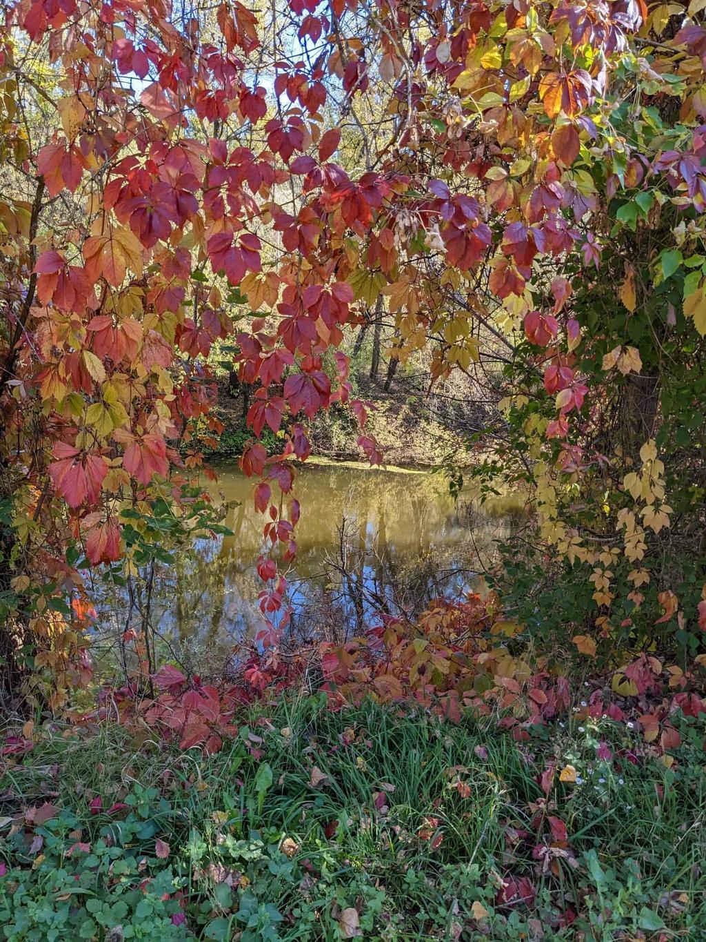 16 жовтня: яке сьогодні свято, що не можна робити